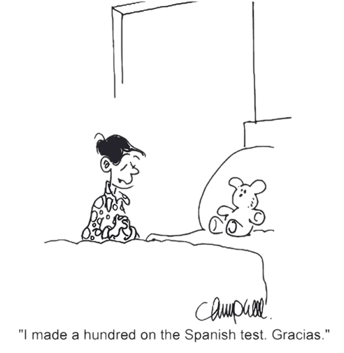 sentence in spanish language