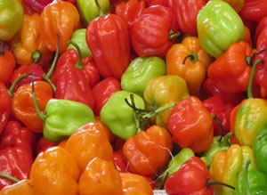 Chile Chamborote Guatemala