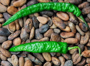 Chile Chocolate Guatemala