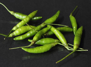 Chile Diente de Perro Guatemala