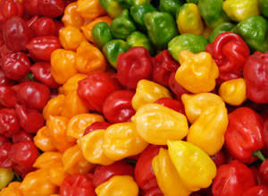 Chile Habanero Guatemala