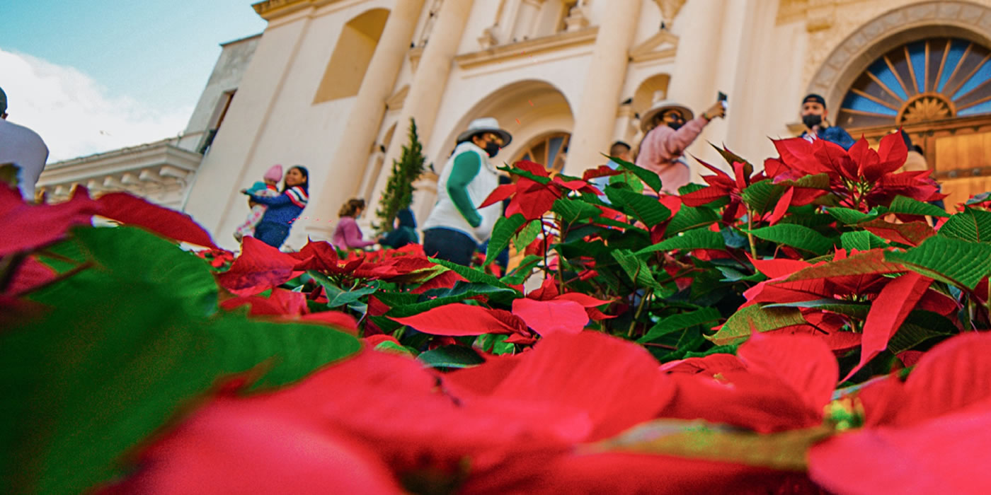flower festival 2022 antigua guatemala