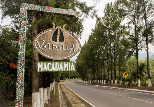 finca macadamia san miguel